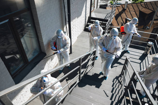 Best Basement Mold Removal  in Honeoye Falls, NY