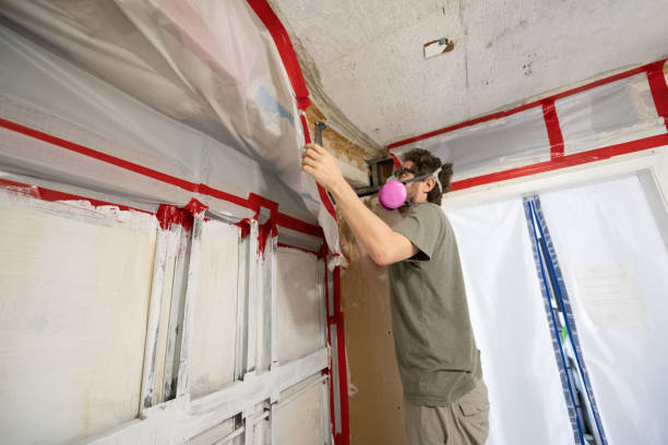 Professional Mold Removal in Honeoye Falls, NY