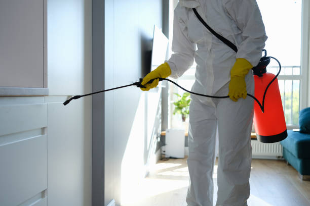 Best Commercial Mold Inspection  in Honeoye Falls, NY