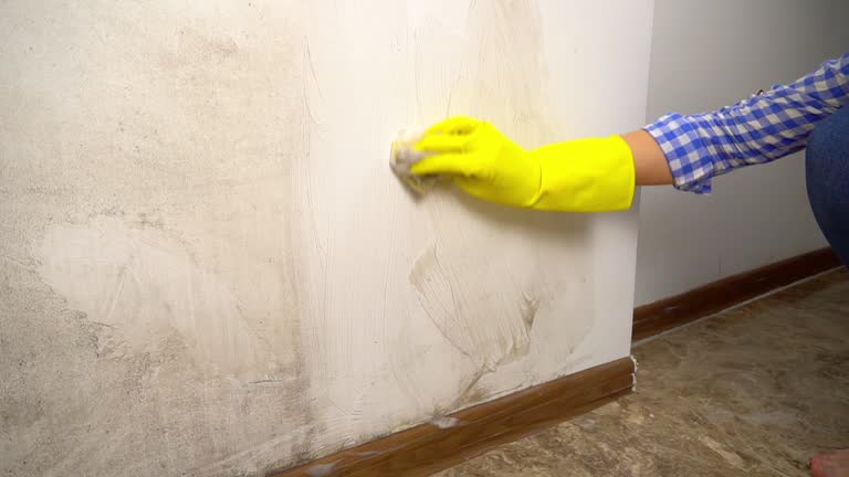 Best Emergency Mold Remediation  in Honeoye Falls, NY