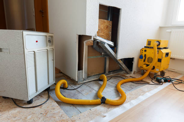 Best Post-Construction Mold Inspection  in Honeoye Falls, NY