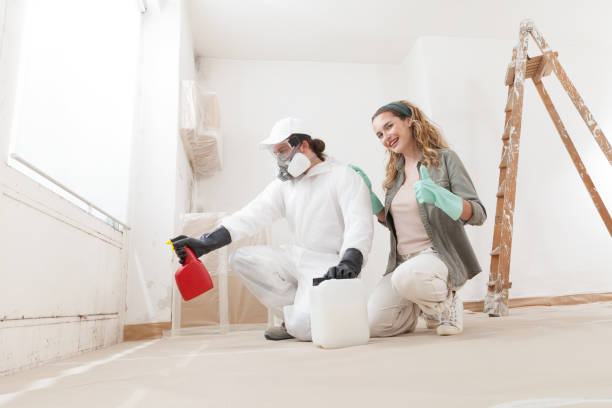 Mold Remediation for Vacation Homes in Honeoye Falls, NY